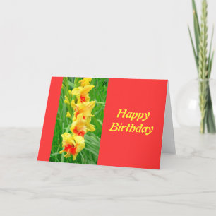 Birthday Card, Yellow Gladiolus With Red Card
