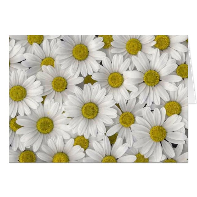 Birthday Cards (Front Horizontal)