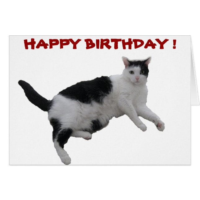 BIRTHDAY CARDS (Front Horizontal)