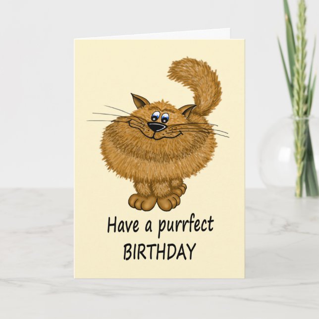 Birthday Cartoon Style Fluffy Cat Card (Front)