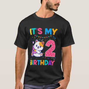 Birthday cat 2 years old Kitten kitty 2nd Birthday T-Shirt