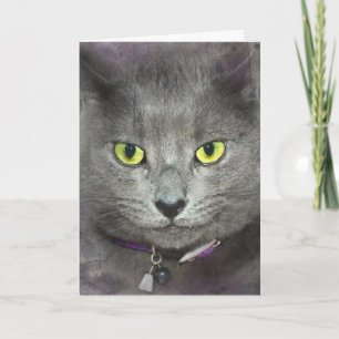 Birthday Cat Card