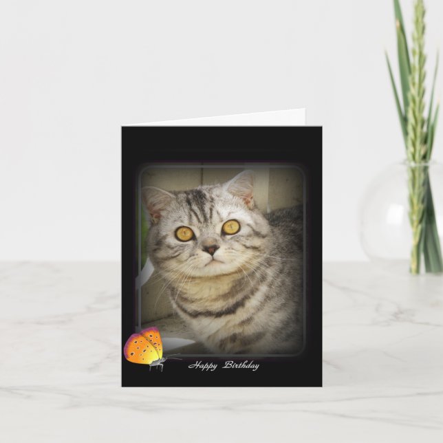 Birthday cat card (Front)