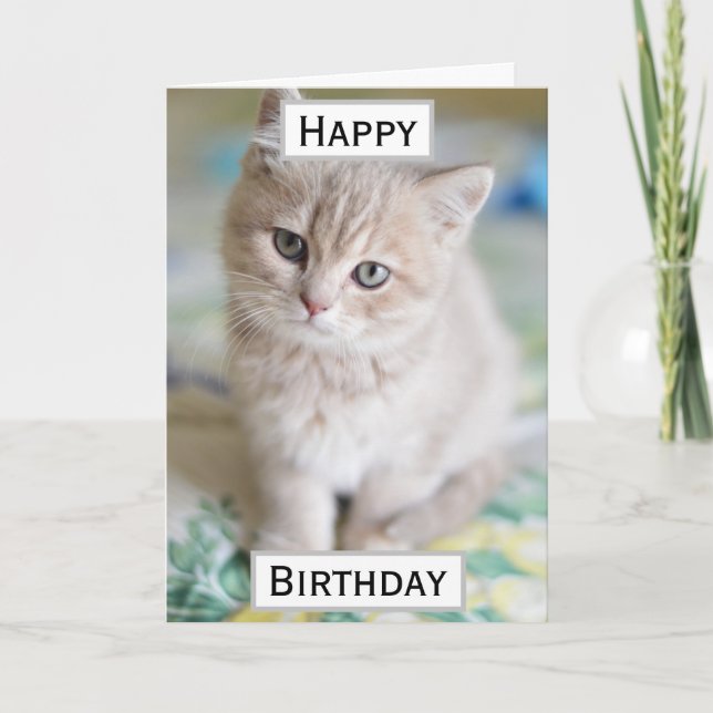 Birthday Cat Dad World's Best Ever Pet Photo Card (Front)