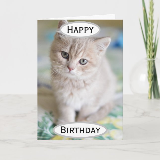 Birthday Cat Dad World's Best Ever Pet Photo Card (Front)
