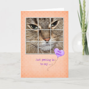 Birthday cat in window card