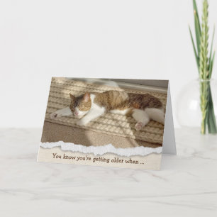 Birthday Cat Napping in Sunlight Holiday Card