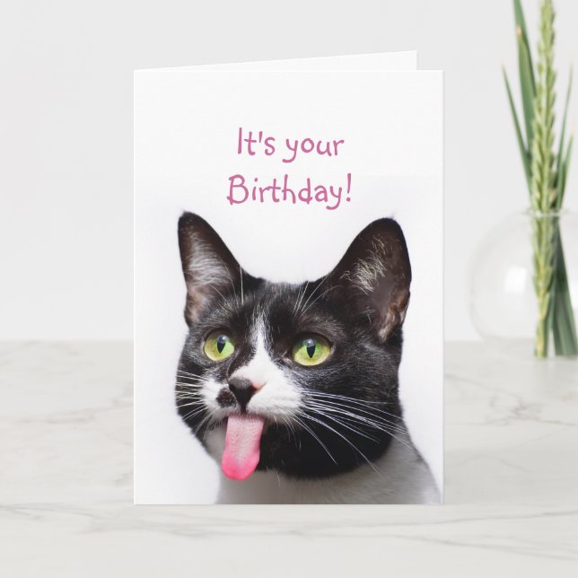 Birthday Cat Sticking out Tongue Funny Humour Card (Front)