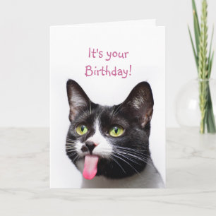 Birthday Cat Sticking out Tongue Funny Humour Card