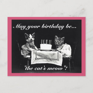 Birthday Cat's Meow Postcard