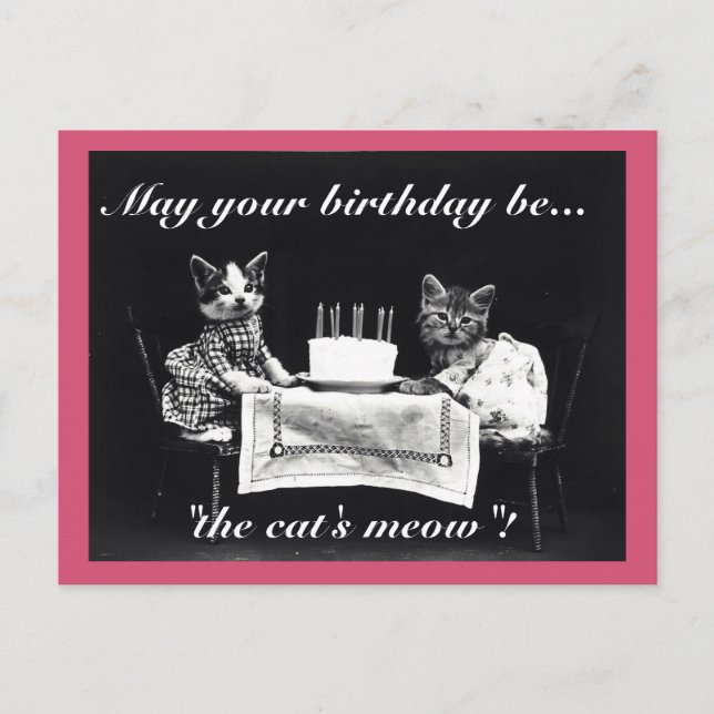 Birthday Cat's Meow Postcard (Front)