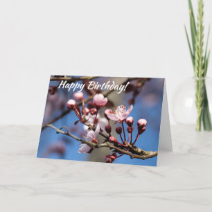Birthday Cherry Blossoms Card