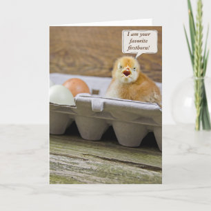 Birthday Chick in egg carton from firstborn Card