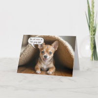 Birthday Chihuahua Dog Under a Rug