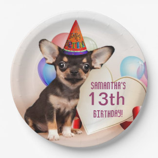 Birthday Chihuahua personalised paper plate
