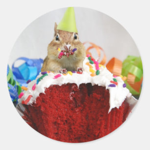 Birthday Chipmunk Classic Round Sticker