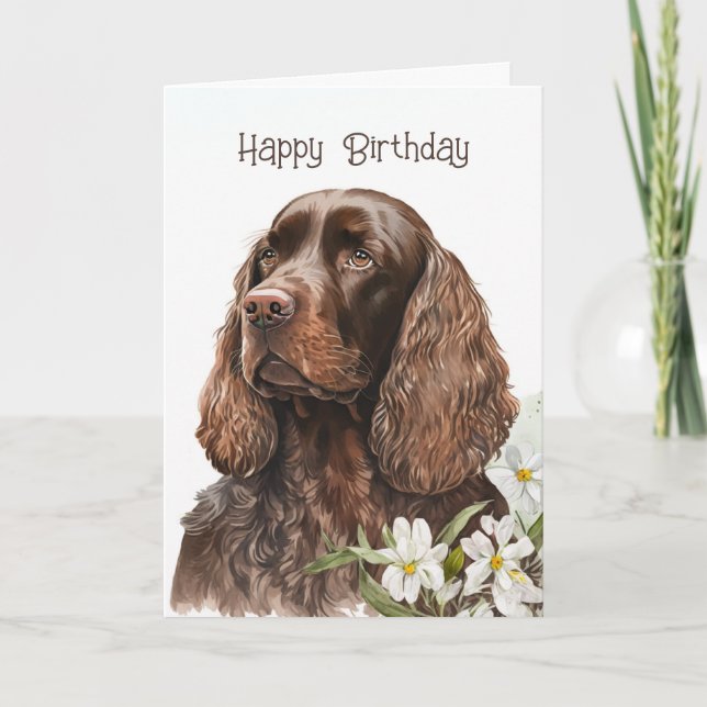 Birthday Chocolate Cocker Spaniel  Card (Front)
