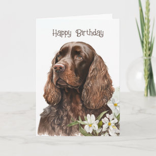 Birthday Chocolate Cocker Spaniel  Card