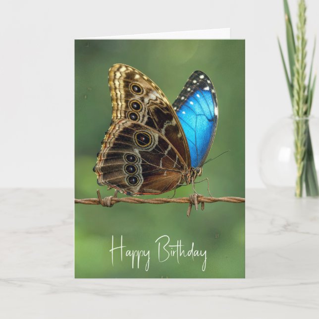 Birthday Common Morpho Butterfly on Barbed Wire Card (Front)
