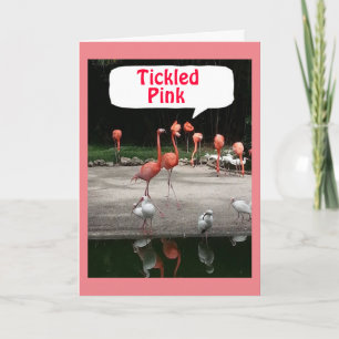 BIRTHDAY COMPLIMENT FLAMINGOS ARE "TICKLED PINK" CARD
