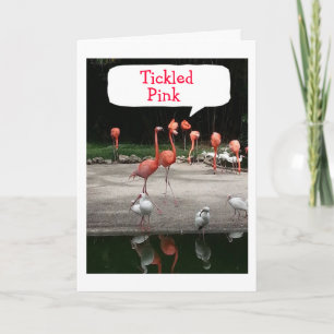 BIRTHDAY COMPLIMENT FLAMINGOS ARE "TICKLED PINK" CARD