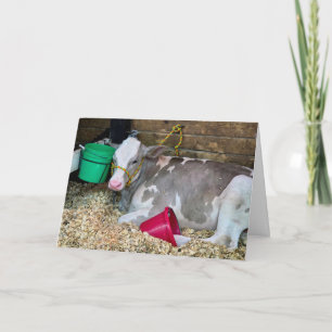 Birthday Cow In a Barn Pen with Buckets Card