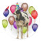 Birthday Cow Theme Party
