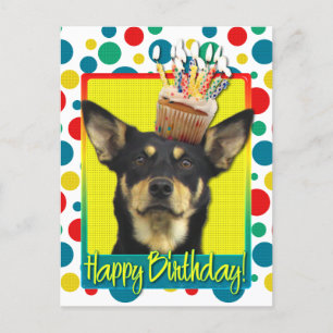 Birthday Cupcake - Australian Kelpie - Jude Postcard