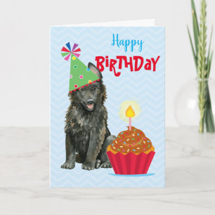 Birthday Cupcake Belgian Sheepdog Card
