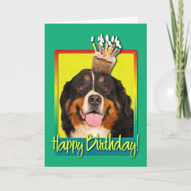 Birthday Cupcake - Bernese Mountain Dog Card (Front)