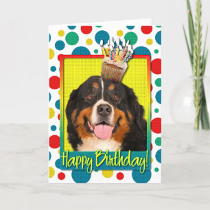 Birthday Cupcake - Bernese Mountain Dog Card