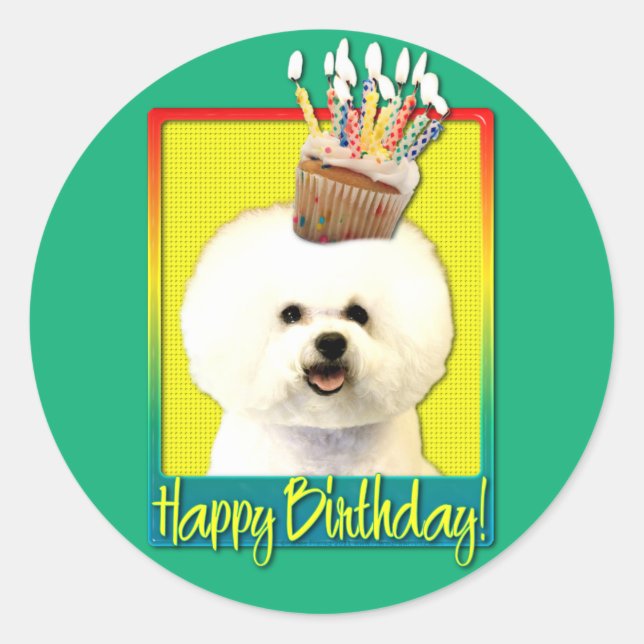 Birthday Cupcake - Bichon Frise Classic Round Sticker (Front)