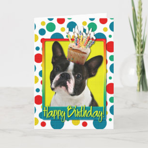 Birthday Cupcake - Boston Terrier Card
