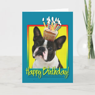 Birthday Cupcake - Boston Terrier Card