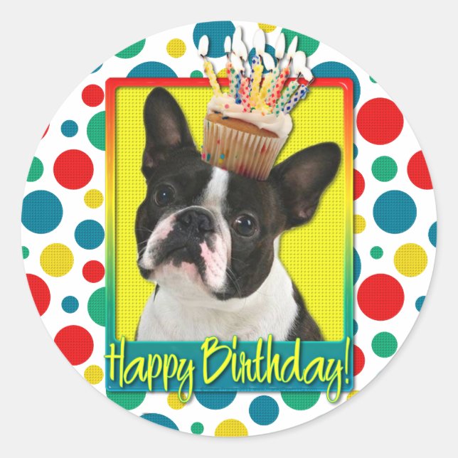 Birthday Cupcake - Boston Terrier Classic Round Sticker (Front)