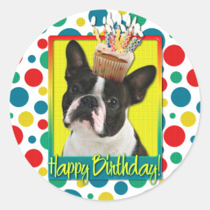 Birthday Cupcake - Boston Terrier Classic Round Sticker