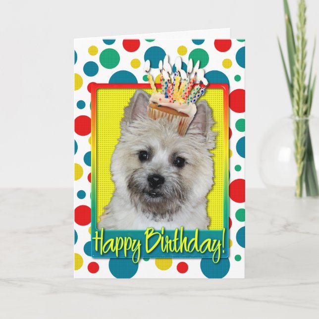 Birthday Cupcake - Cairn Terrier - Teddy Bear Card (Front)