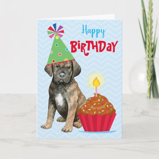 Birthday Cupcake Cane Corso Card (Front)