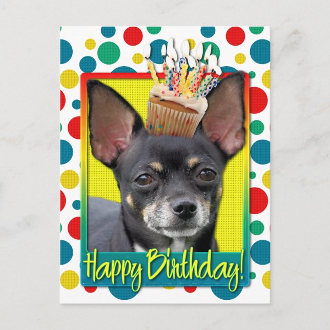 Birthday Cupcake - Chihuahua - Isabella Postcard (Front)