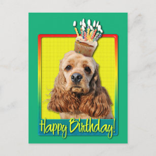 Birthday Cupcake - Cocker Spaniel Postcard