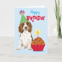 Birthday Cupcake English Springer Spaniel