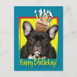 Birthday Cupcake - French Bulldog - Teal Postcard