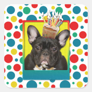 Birthday Cupcake - French Bulldog - Teal Square Sticker