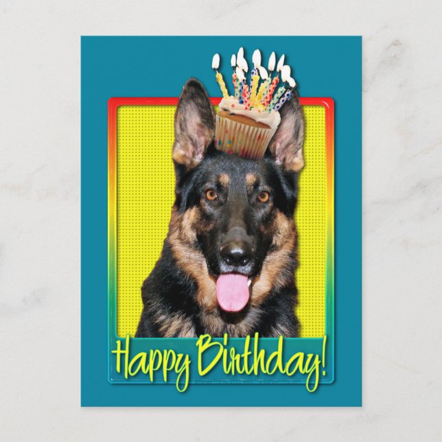 Birthday Cupcake - German Shepherd - Kuno Postcard (Front)