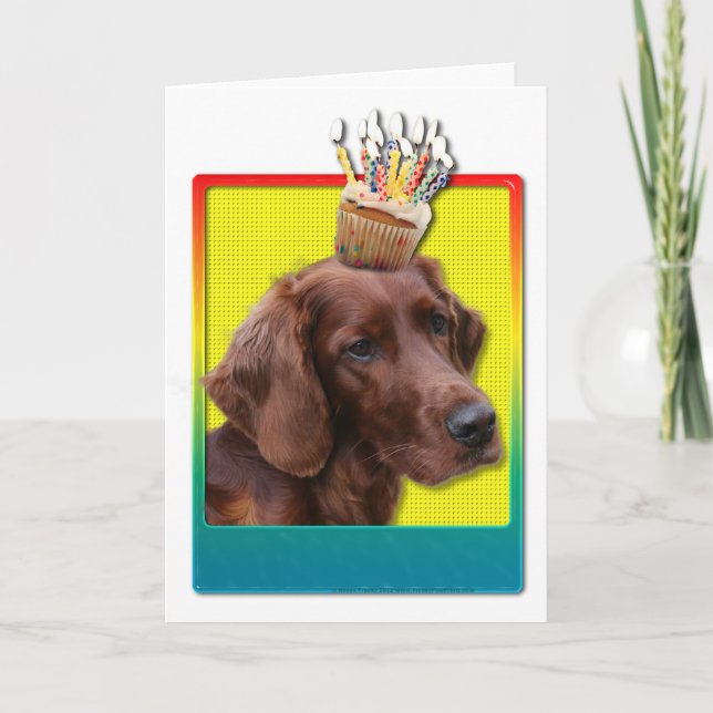 Birthday Cupcake - Irish Setter Card (Front)