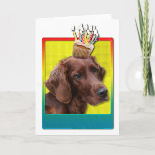 Birthday Cupcake - Irish Setter Card