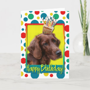Birthday Cupcake - Irish Setter Card