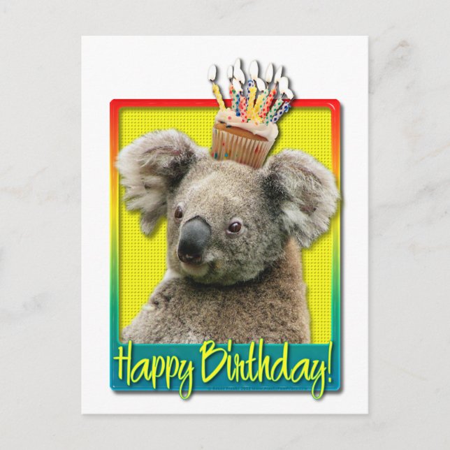 Birthday Cupcake - Koala Postcard (Front)