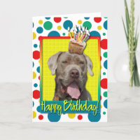 Birthday Cupcake - Mastiff - Snoop