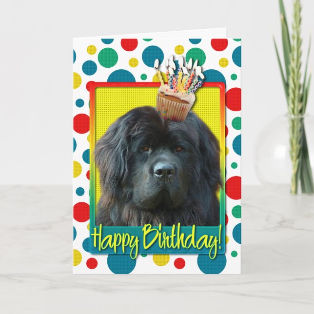 Birthday Cupcake - Newfoundland Card (Front)